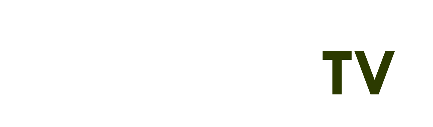 saudi pro league